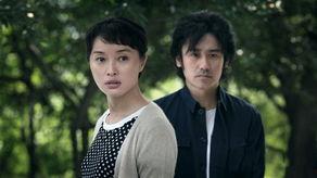 请你原谅我演员,揭开演员背后的情感纠葛与成长历程